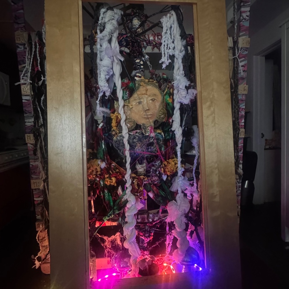 Introscope - Picture 3 of 3